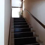 Vucko