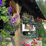 Vucko Apartament *