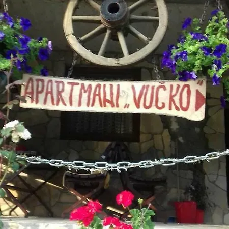Daire Vucko